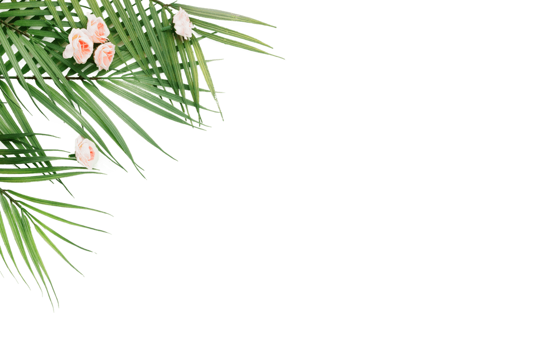 Decoration